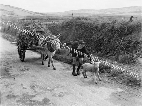 DONKEY & CART FARMER LAMB